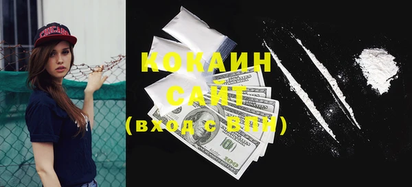 мдпв Осташков