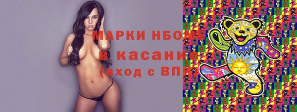 мдпв Осташков