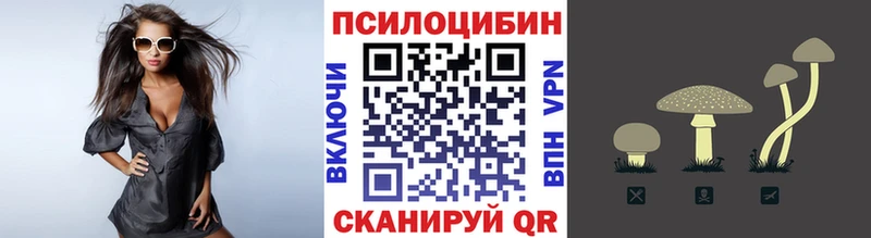 Галлюциногенные грибы мицелий  Ноябрьск 